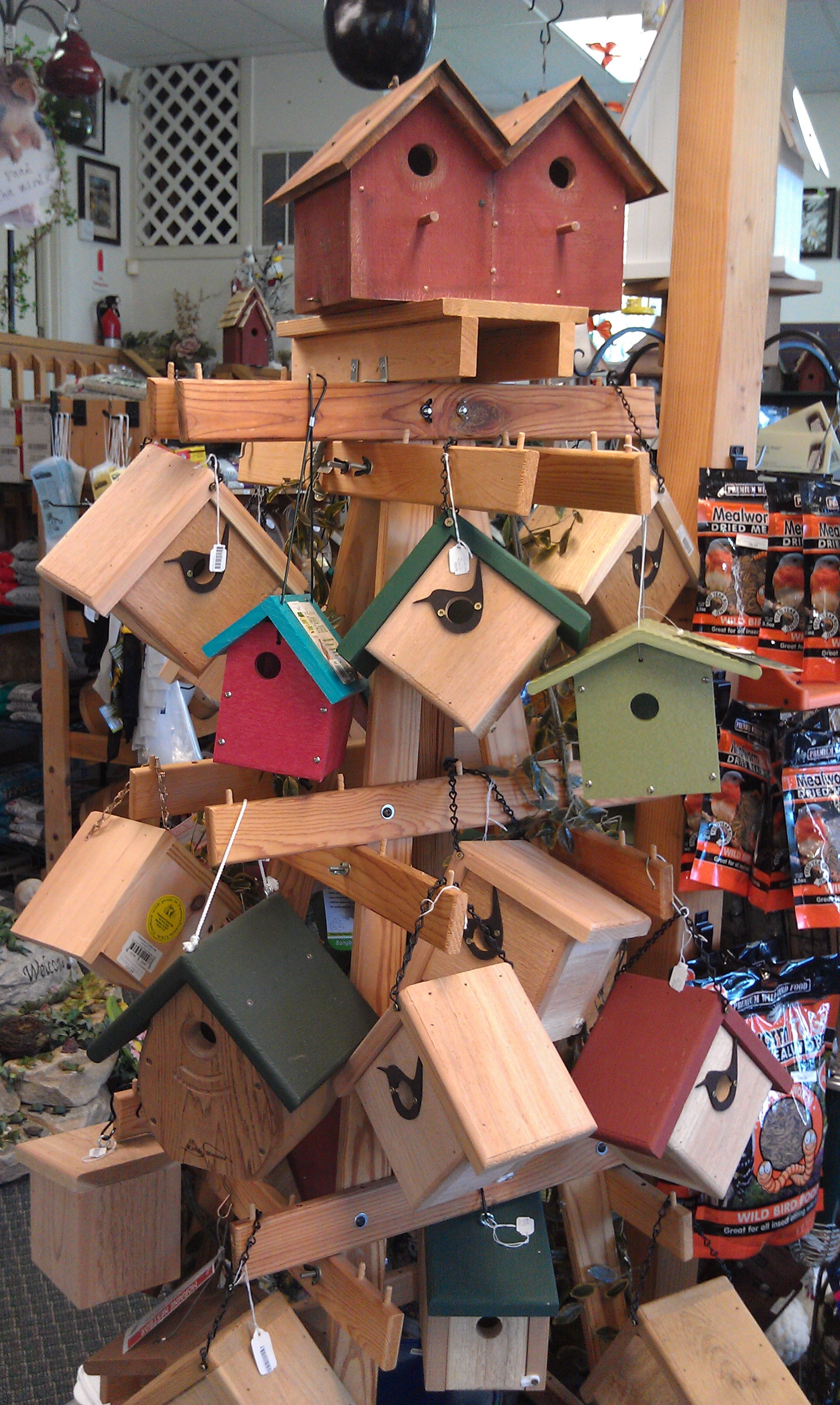 Birds and Beyond Inc.