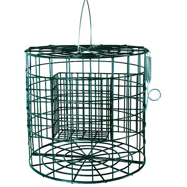 suet feeders suet feeders