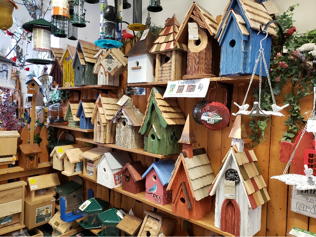 Birds and Beyond Inc.